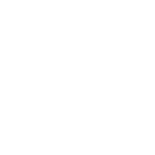 Beyond Borders